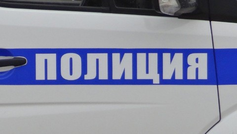 В Калманском районе полицейские раскрыли кражу мотопилы